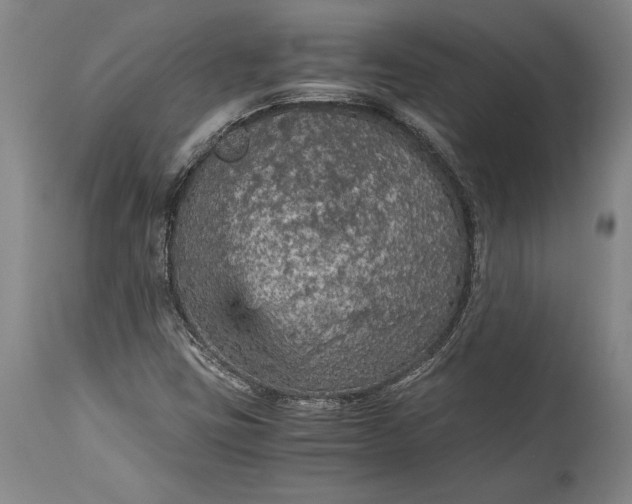 X0000115411403200911171348