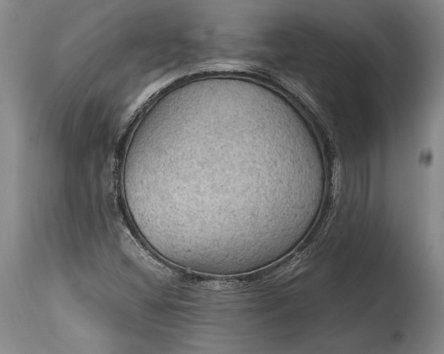 X0000115411404200911171348