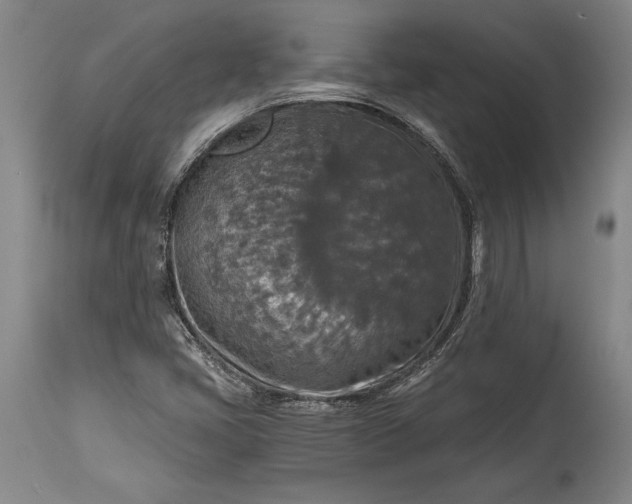 X0000115411405200911171348