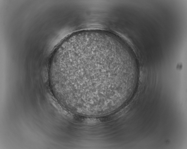X0000115411407200911171348