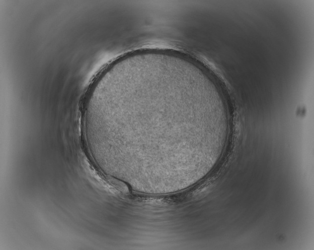 X0000115411408200911171348