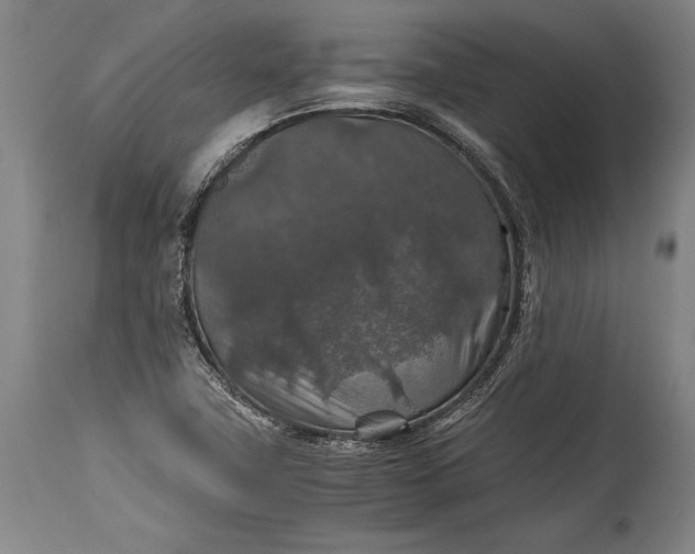 X0000115411411200911171348