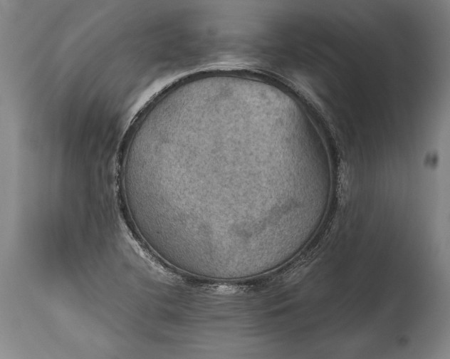 X0000115411412200911171348