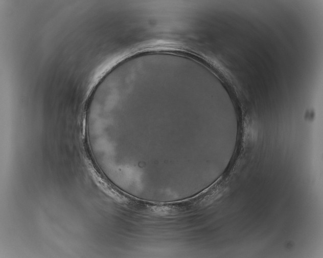 X0000115411413200911171348