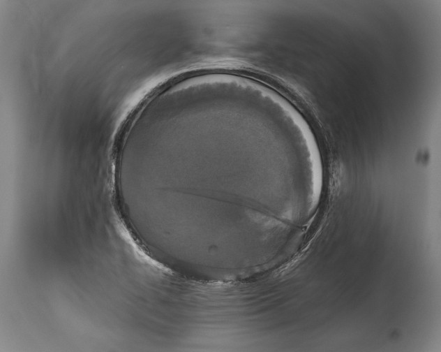 X0000115411414200911171348