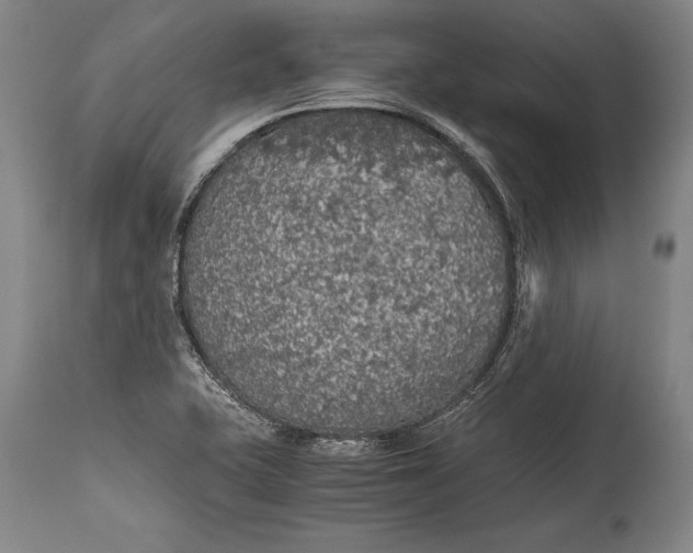 X0000115411415200911171348