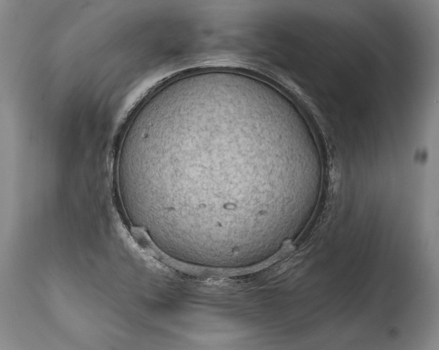 X0000115411416200911171348