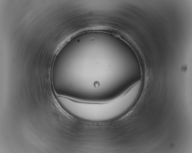 X0000115411417200911171348