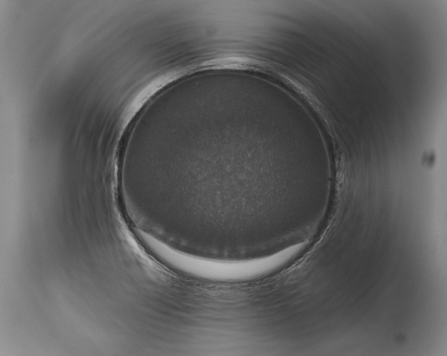 X0000115411418200911171348