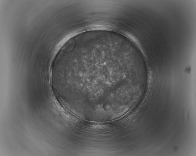X0000115411419200911171348