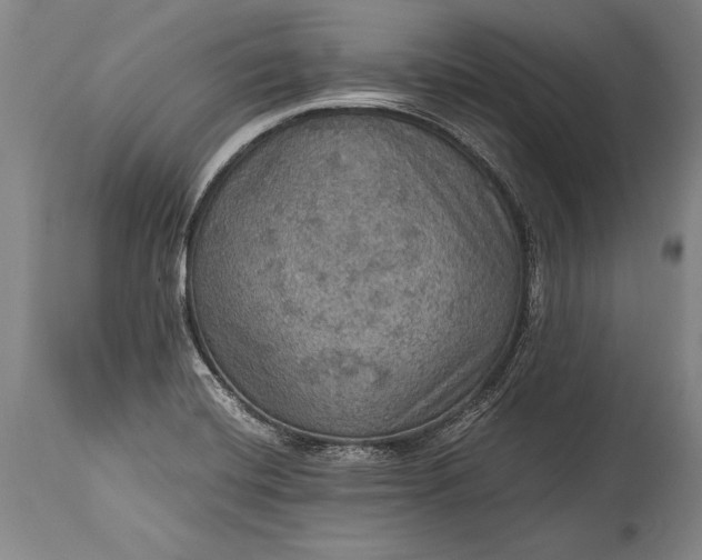 X0000115411420200911171348