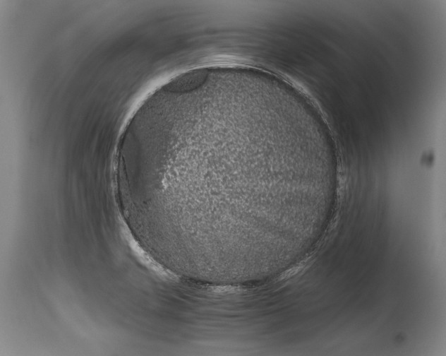 X0000115411421200911171348