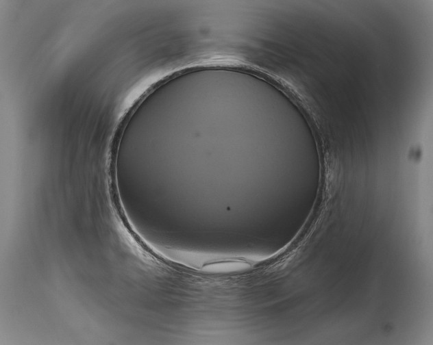 X0000115411422200911171348