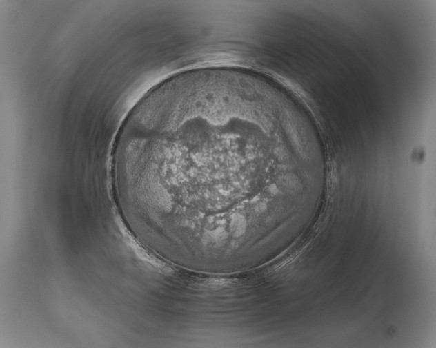 X0000115411423200911171348