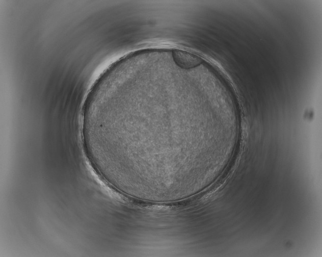 X0000115411424200911171348