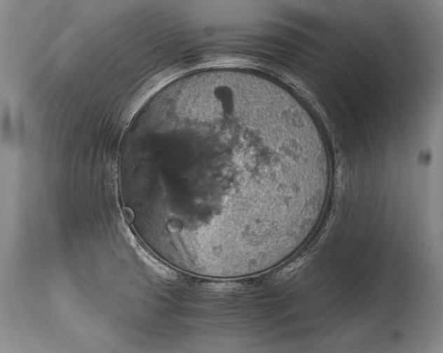 X0000115411425200911171348