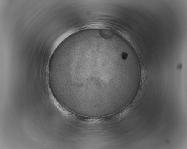 X0000115411426200911171348