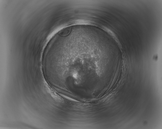 X0000115411427200911171348