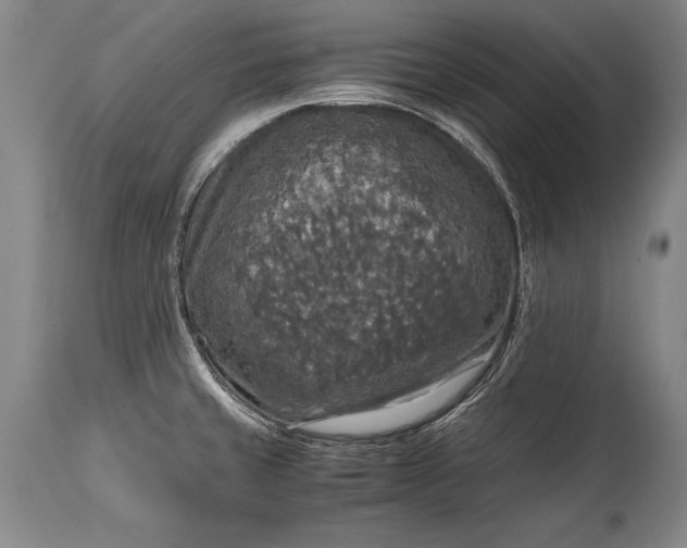 X0000115411429200911171348