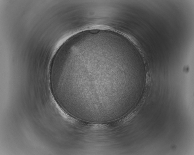 X0000115411430200911171348