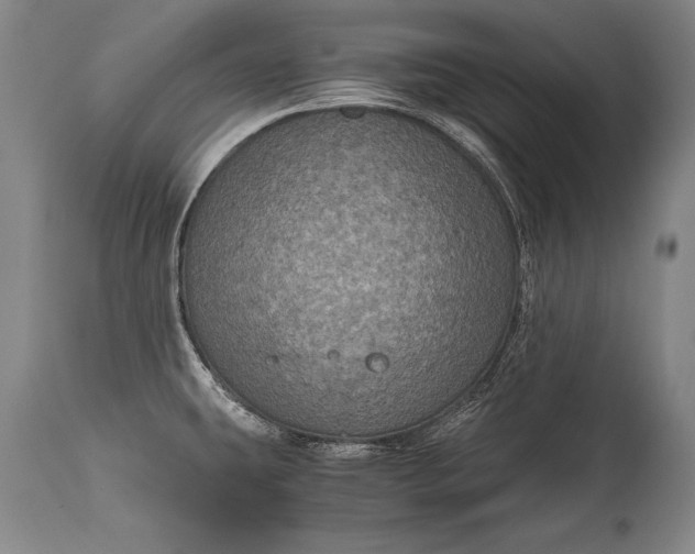 X0000115411431200911171348