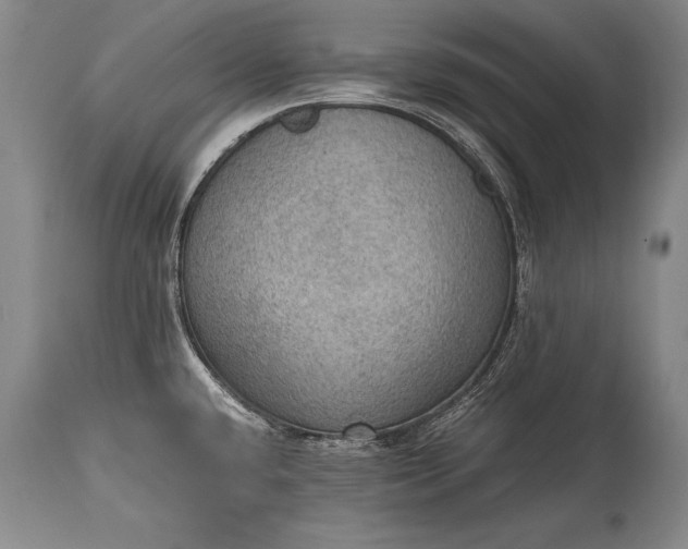X0000115411432200911171348