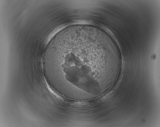 X0000115411433200911171348