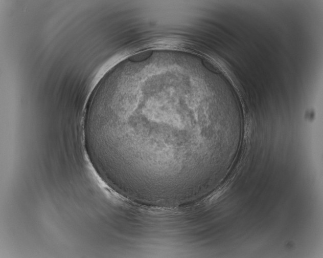 X0000115411434200911171348