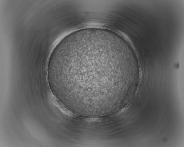 X0000115411435200911171348
