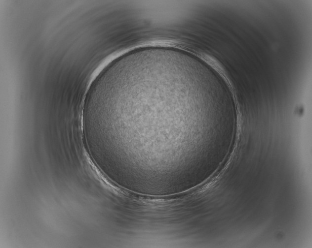 X0000115411436200911171348
