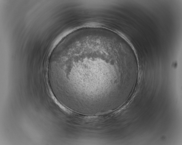 X0000115411437200911171348