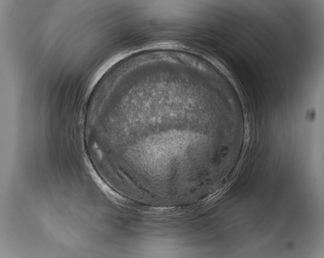 X0000115411438200911171348