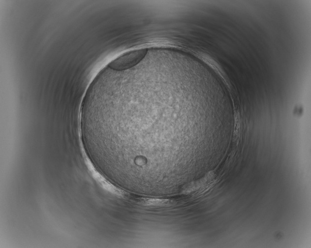 X0000115411439200911171348