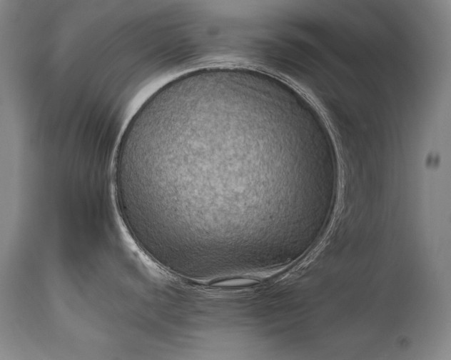 X0000115411440200911171348