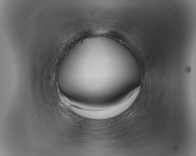 X0000115411441200911171348