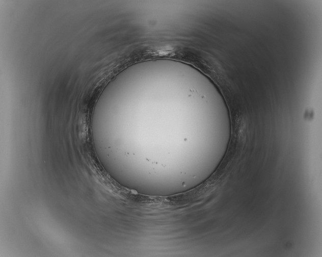 X0000115411442200911171348