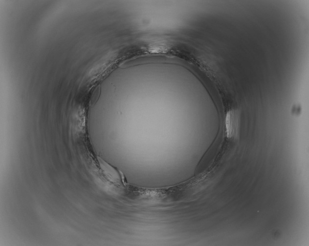 X0000115411443200911171348