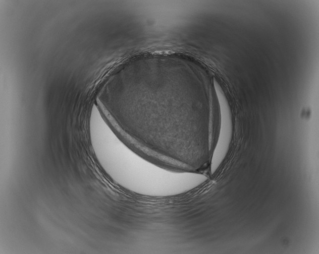 X0000115411444200911171348