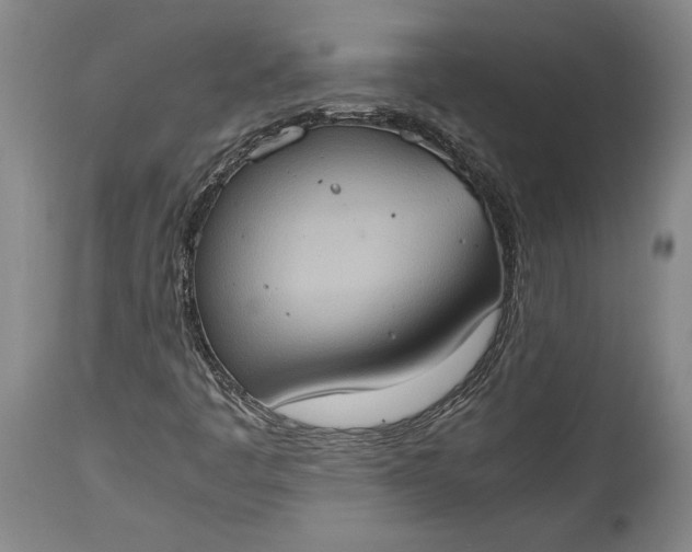 X0000115411445200911171348