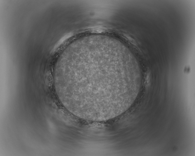 X0000115411446200911171348