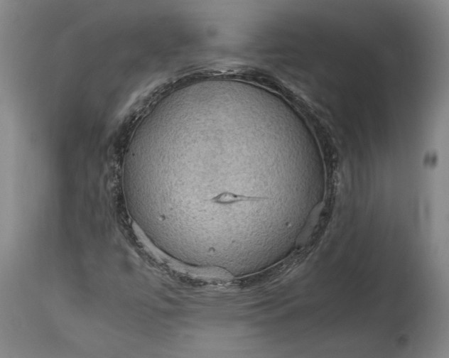 X0000115411447200911171348