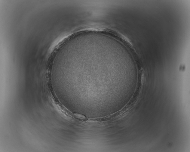 X0000115411448200911171348