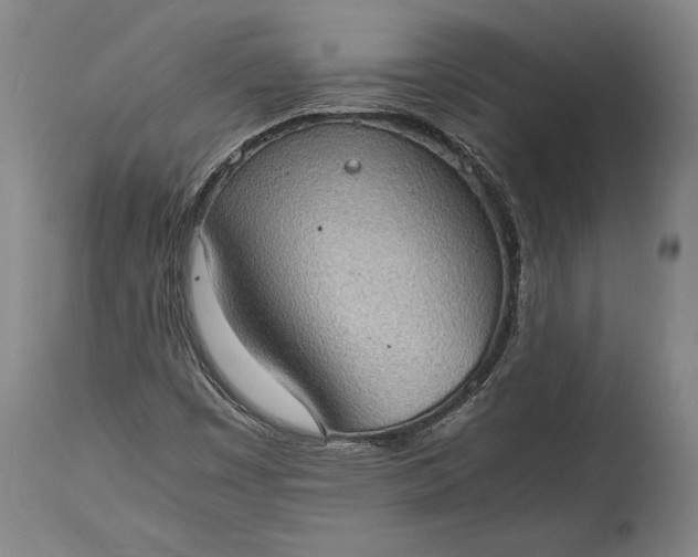 X0000115411449200911171348