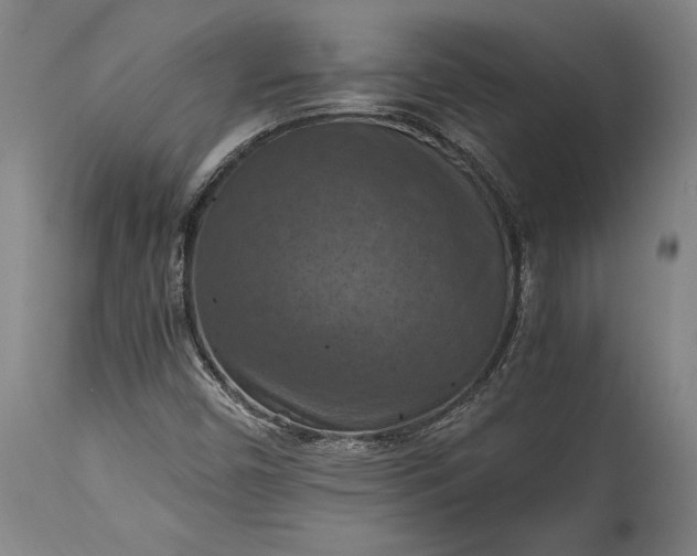 X0000115411450200911171348