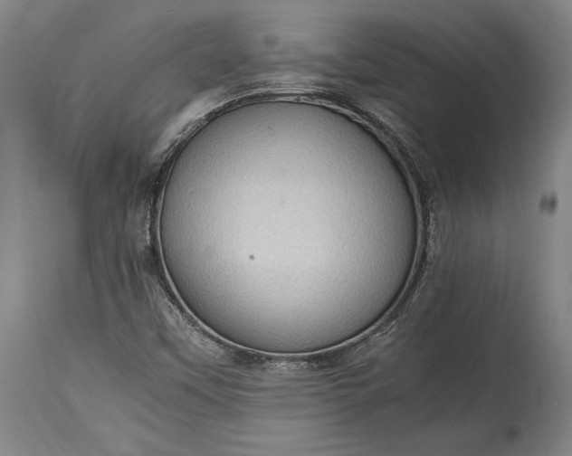 X0000115411451200911171348