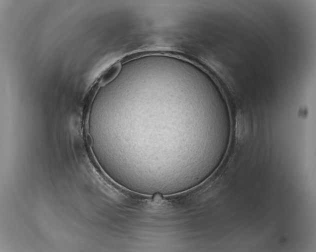 X0000115411452200911171348