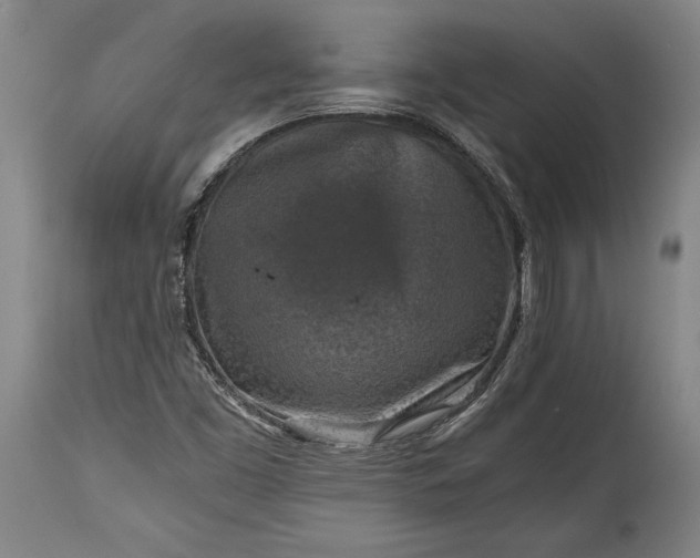 X0000115411453200911171348