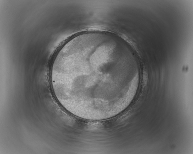 X0000115411454200911171348