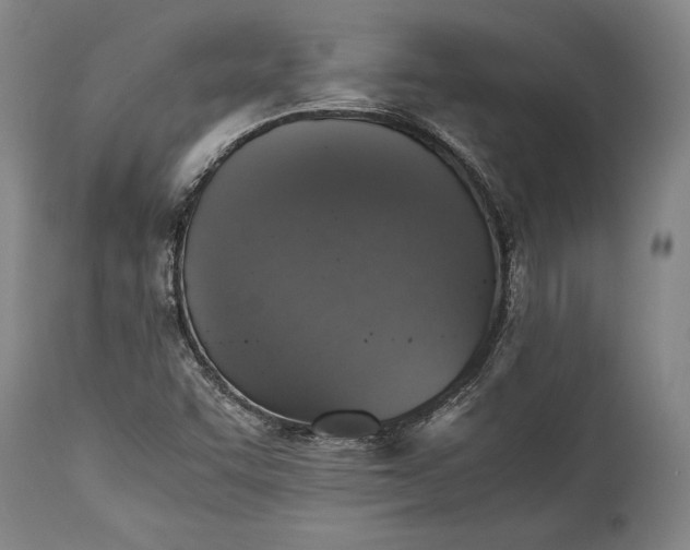 X0000115411455200911171348