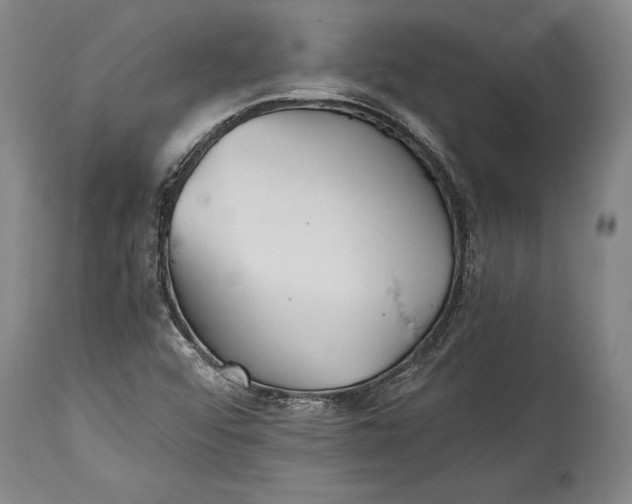 X0000115411456200911171347
